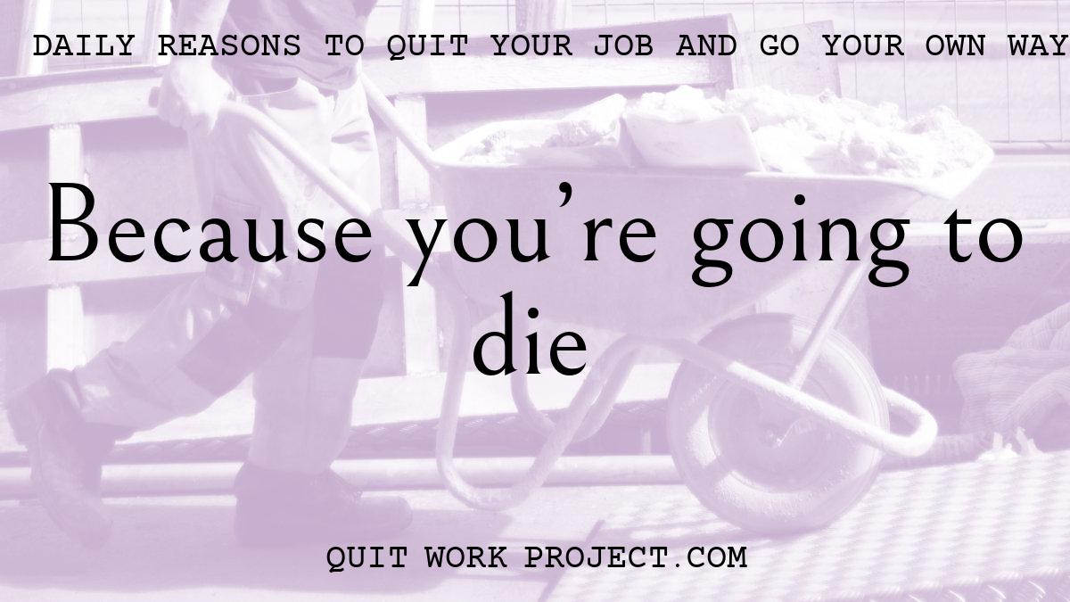 Daily reasons to quit your job and go your own way - Because you're going to die