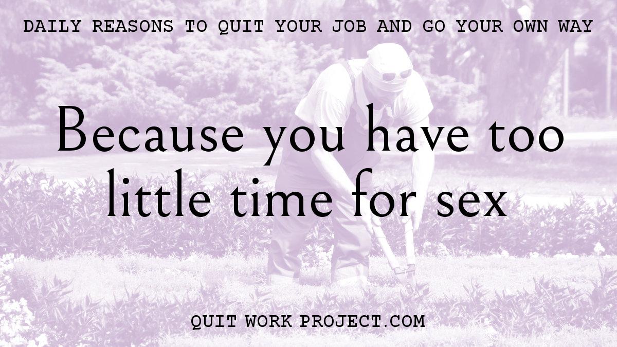 Daily reasons to quit your job and go your own way - Because you have too little time for sex