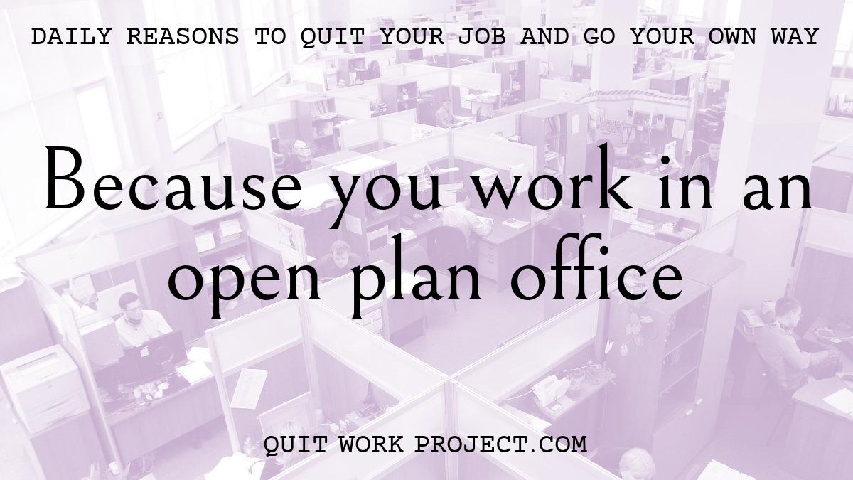 Daily reasons to quit your job and go your own way - Because you work in an open plan office