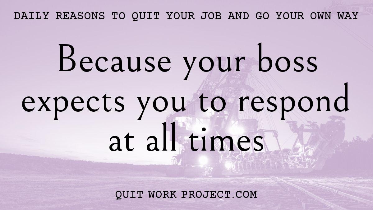 Daily reasons to quit your job and go your own way - Because your boss expects you to respond at all times