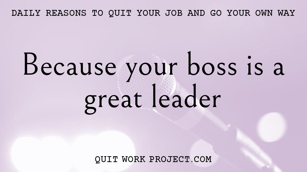 Daily reasons to quit your job and go your own way - Because your boss is a great leader