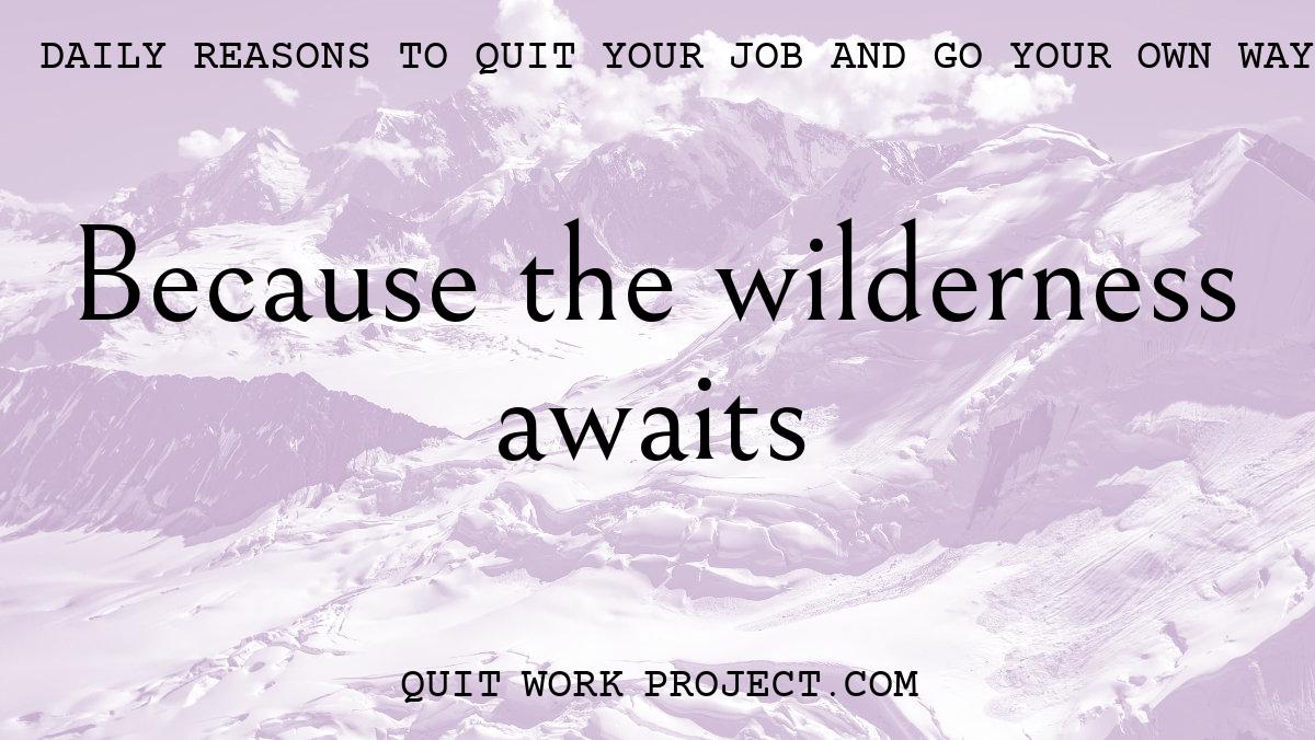 Daily reasons to quit your job and go your own way - Because the wilderness awaits