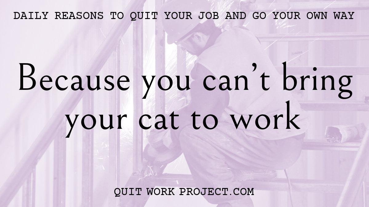 Because you can't bring your cat to work