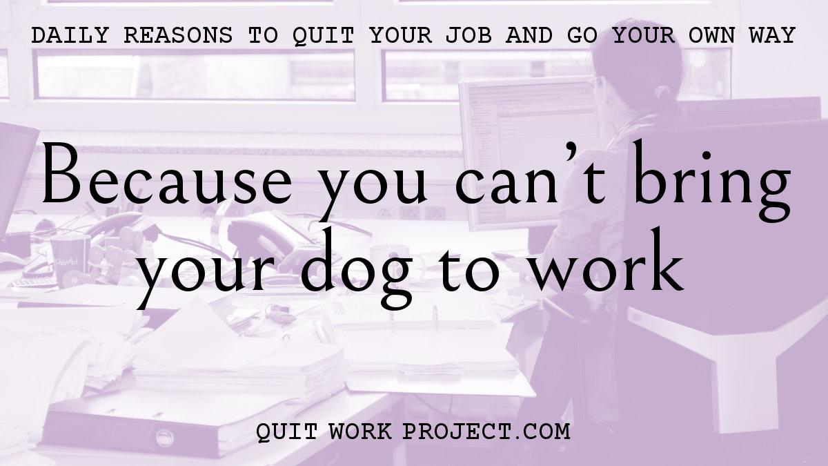 Daily reasons to quit your job and go your own way - Because you can't bring your dog to work