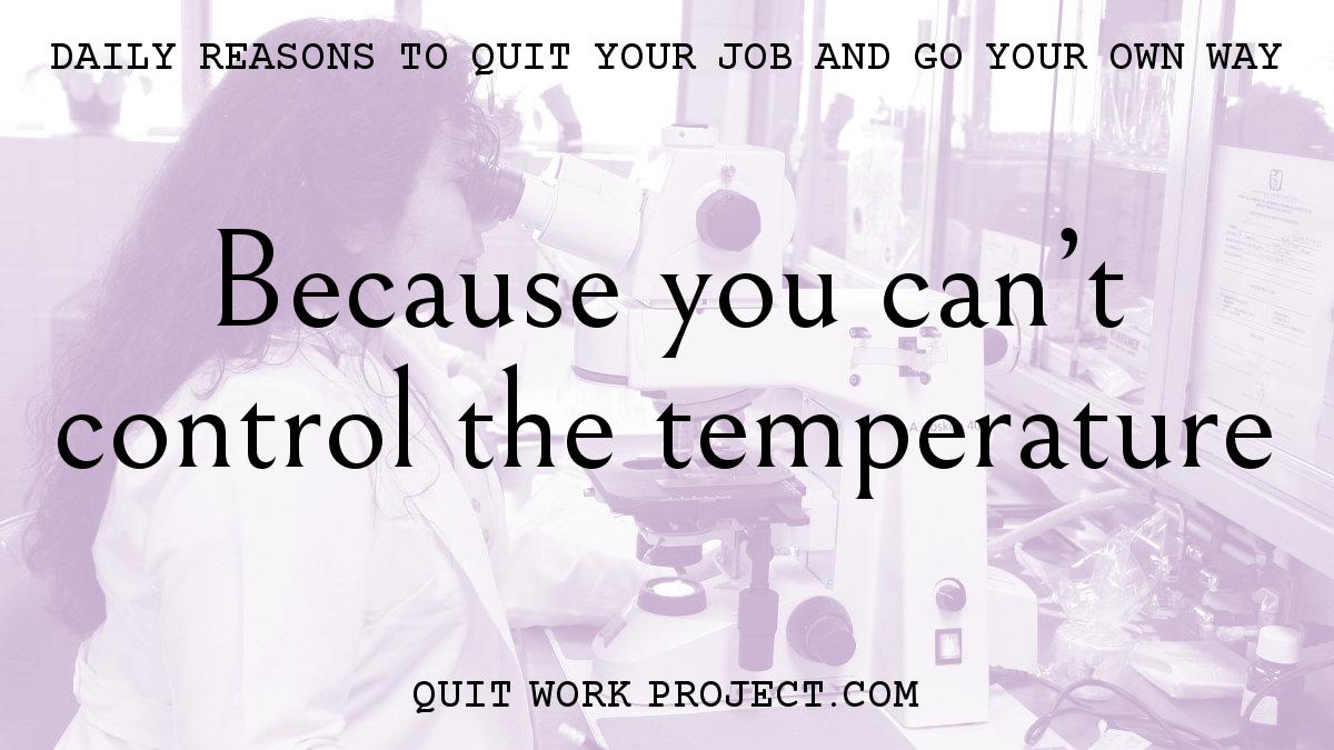 Daily reasons to quit your job and go your own way - Because you can't control the temperature