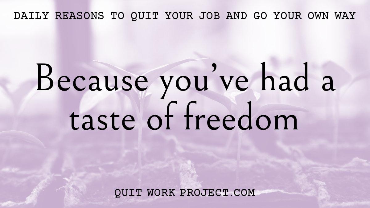 Daily reasons to quit your job and go your own way - Because you've had a taste of freedom