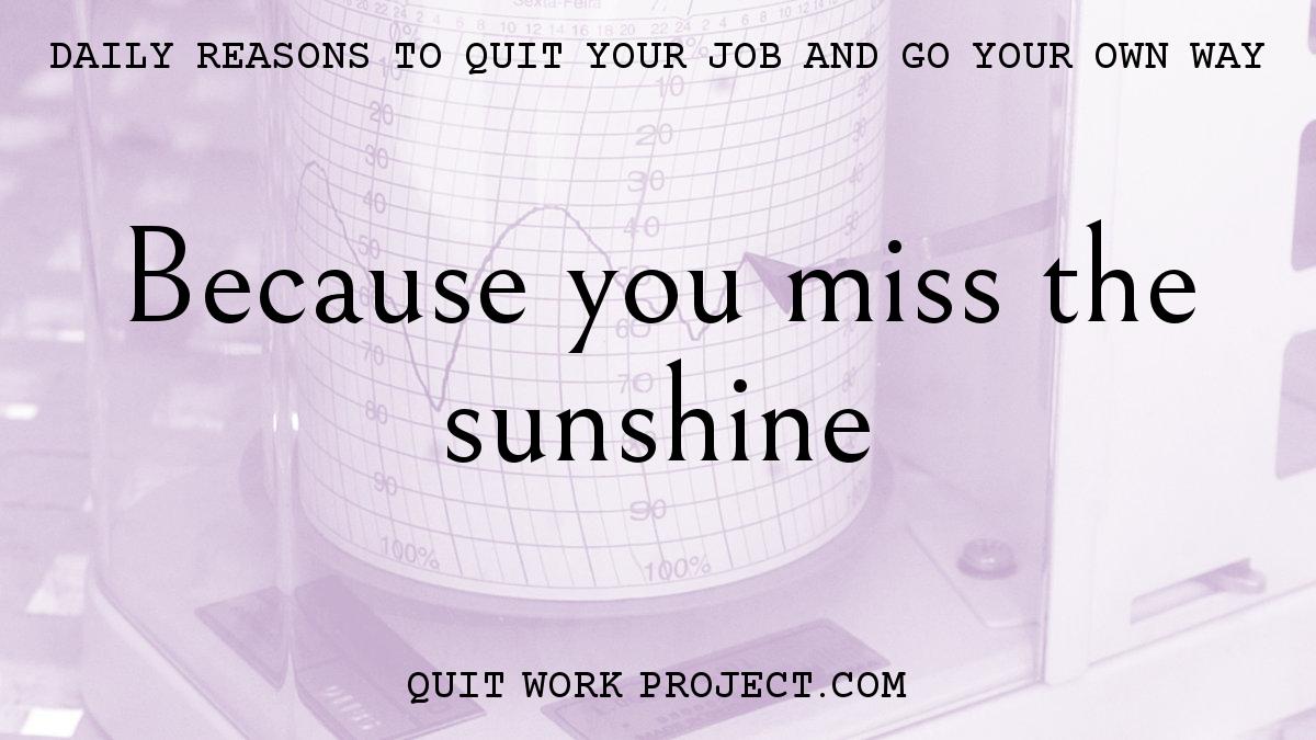 Daily reasons to quit your job and go your own way - Because you miss the sunshine
