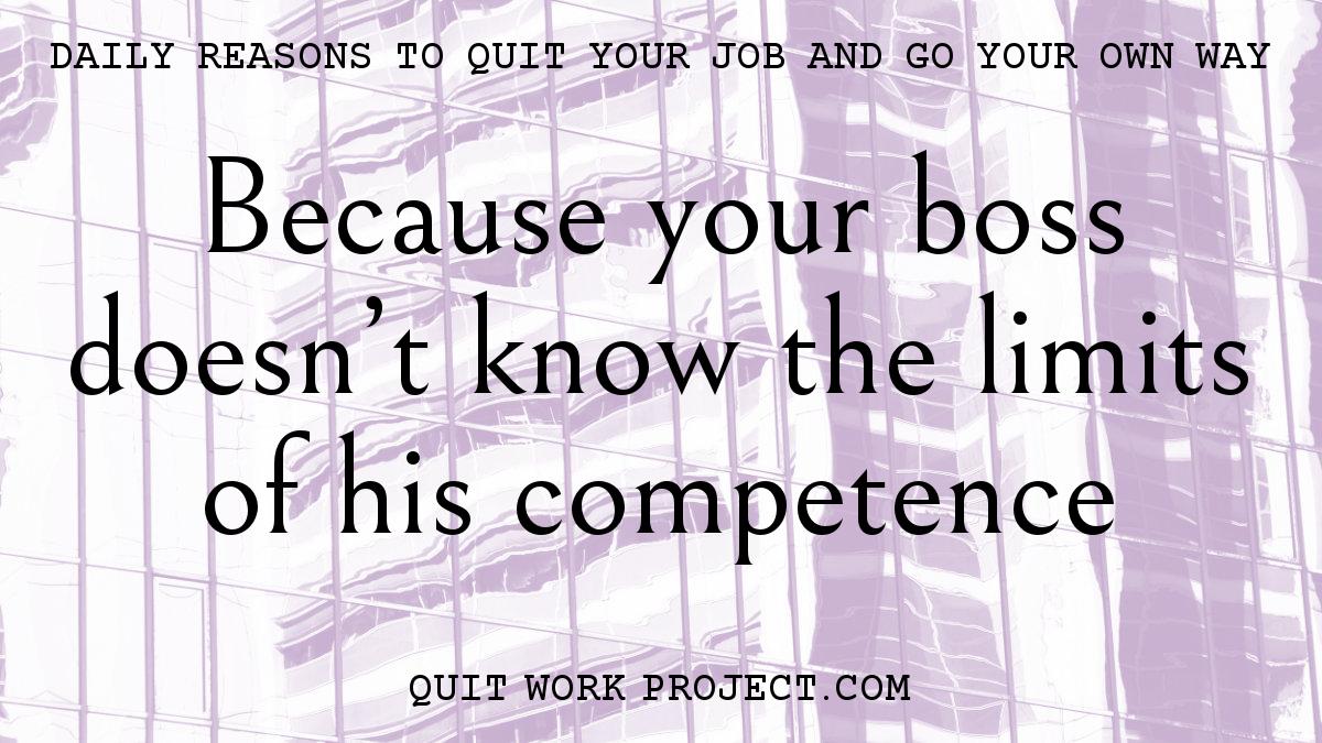 Daily reasons to quit your job and go your own way - Because your boss doesn't know the limits of his competence