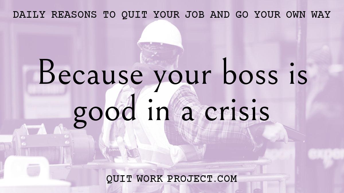 Daily reasons to quit your job and go your own way - Because your boss is good in a crisis