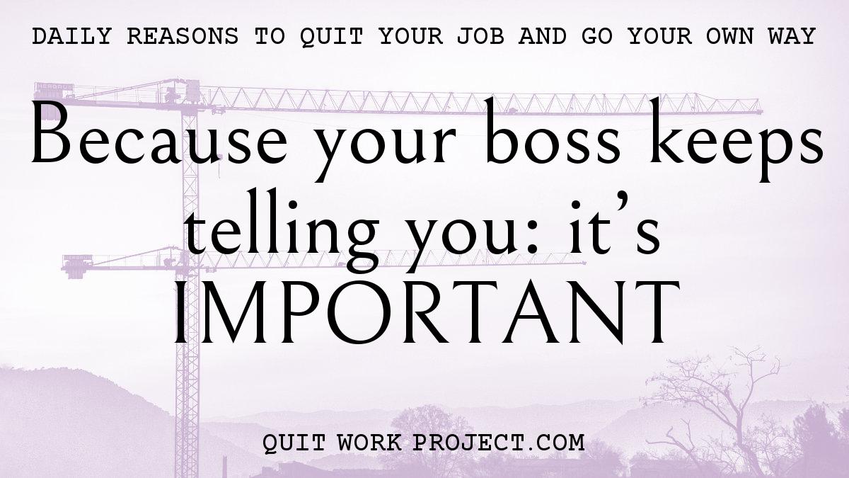Daily reasons to quit your job and go your own way - Because your boss keeps telling you: it's IMPORTANT