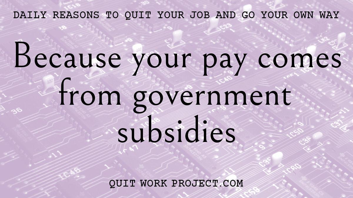 Daily reasons to quit your job and go your own way - Because your pay comes from government subsidies